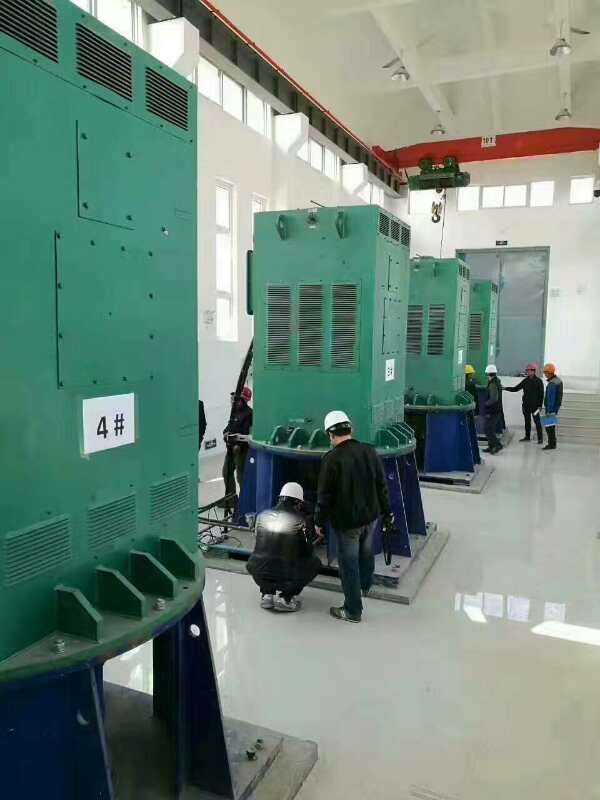 枣阳某污水处理厂使用我厂的立式高压电机安装现场
